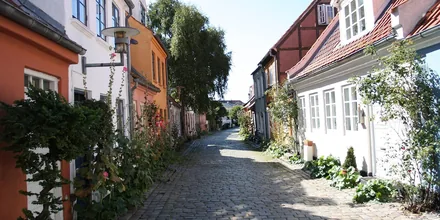 Brostensbelagt gade med gamle huse i Aarhus